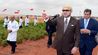 Photo of بعد الخطاب الملكي.. أخنوش يوزع مليون هكتار على الفلاحين!