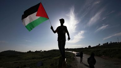 Photo of بمساعدة “الديستي”.. الجيش يلقي القبض على 8 فلسطينيين خططوا للتسلل إلى سبتة