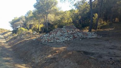 Photo of “الردمة” تغزو غابات طنجة في غياب تام للمراقبة