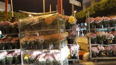 Photo of طنجة تخضع لـ”التجميل” استعدادا لاستقبال الملك وماكرون