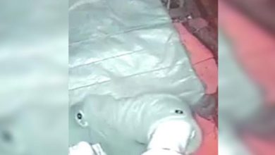 Photo of أغبى لص بمدينة طنجة يسقط في قبضة الأمن