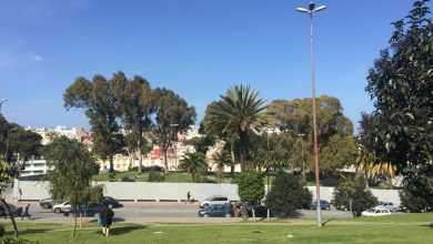 Photo of مرصد البيئة يحذر من “الصمت المريب” حول حدائق مندوبية طنجة التاريخية