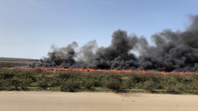 Photo of التحقيقات بشأنها مستمرة..إتلاف نحو 18 طنا من المخدرات بطنجة