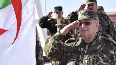 Photo of قائد الجيش الجزائري يهاجم رافضي مقترح “الكرسي الرئاسي الشاغر”
