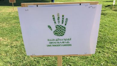 Photo of بسبب حدائق المندوبية.. أحزاب تحمل جماعة طنجة مسؤولية إقبار مآثر المدينة