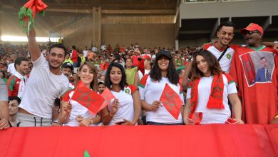 Photo of في حدود 7500 مشجع.. عرض خاص لمتابعة مباريات الأسود بمصر