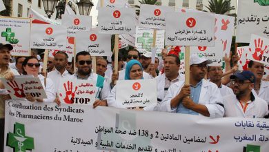Photo of بعد اجتماعهم مع العثماني.. ملف الصيادلة في طريقه للحل