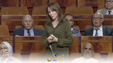 Photo of بالفيديو.. الوزير الأعرج يصدم برلمانية بخصوص حدائق المندوبية بطنجة