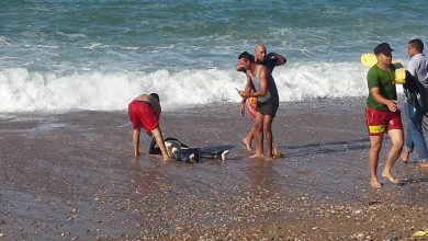 Photo of طنجة: العثور على جثة بشاطئ مالاباطا