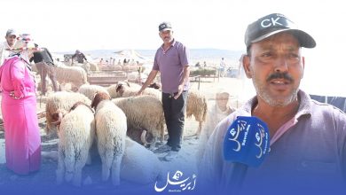 Photo of بالفيديو: مواطن بطنجة يبحث عن كبش ب 1200 درهم فهل يجده ؟؟