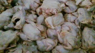 Photo of الحسيمة..الحجز على هذه المواد الفاسدة بفنادق يقيم فيها مرافقو الملك