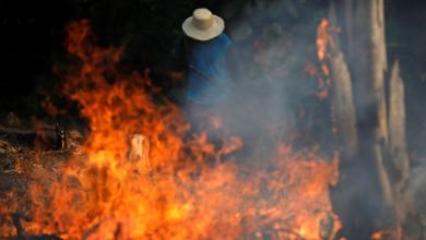 Photo of البرازيل تستنجد بـ”هيركوليس” لإخماد حرائق الأمازون