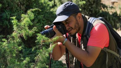 Photo of تعرف على أول شاب يؤسس بنك للنباتات بالمغرب