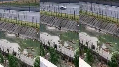 Photo of شرطة طنجة تخضع شريط “واد مغوغة” لبحث ميداني وخبرة تقنية