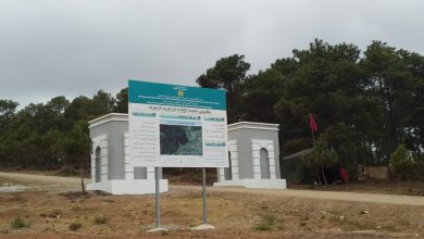 Photo of مشروع تهيئة غابة الرهراه.. هل ينقذها من أطماع أباطرة العقار؟