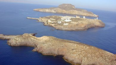 Photo of 60 مهاجرا يقتحمون الجزر الجعفرية المحتلة انطلاقا من الناظور