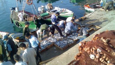 Photo of مندوبية الصيد بطنجة تحذر البحارة من الخروج للصيد في الساعات المقبلة