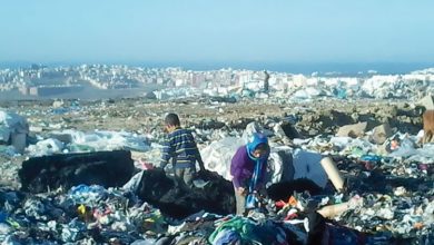 Photo of جهة الشمال تهيمن على ربع اعتمادات الاستثمار بقطاع البيئة سنة 2020