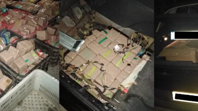 Photo of طنجة: حجز أزيد من  نصف طن من المخدرات كانت معدة للتهريب