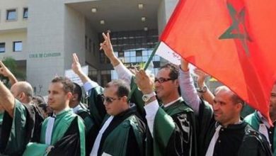 Photo of قضاة يساهمون بمداخيل أنشطة رمضانية في صندوق “كورونا”