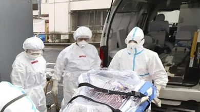 Photo of المملكة تسجل 245 إصابة جديدة بفيروس كورونا خلال آخر 16 ساعة