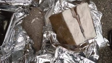Photo of حجز أزيد من 25 كيلوغرام من الكوكايين بميناء طنجة المتوسط
