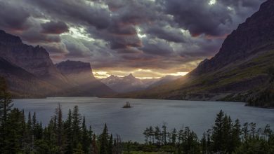Photo of لا تقم بتنزيلها.. كيف يمكن لهذه الصورة الجميلة تدمير هواتف أندرويد؟