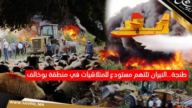 Photo of طنجة..النيران تلتهم مستودع للمتلاشيات في منطقة بوخالف