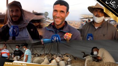 Photo of في زمن كورونا: الحولي ديال 3000 درهم تاخذو غير 1500!! ( فيديو من سوق الماشية)