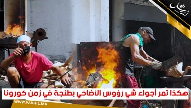 Photo of هكذا تمر أجواء شي رؤوس الأضاحي بطنجة في زمن كورونا