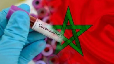 Photo of 354 إصابة جديدة بكورونا ووفاة واحدة خلال 24 ساعة