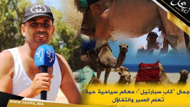 Photo of جِمال “كاب سبارطيل”: معالم سياحية حية تُعلم الصبر والتفاؤل