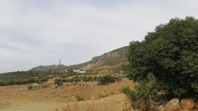 Photo of احتقان بقرية بنقريش بسبب عوني سلطة تتهمهما الساكنة ب”الفساد”
