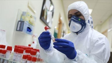 Photo of خبراء يدعون إلى اعتماد الوسائل الكفيلة بمواجهة ذروة تفشي الفيروس