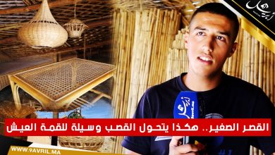 Photo of القصر الصغير.. هكذا يتحول القصب وسيلة للقمة العيش