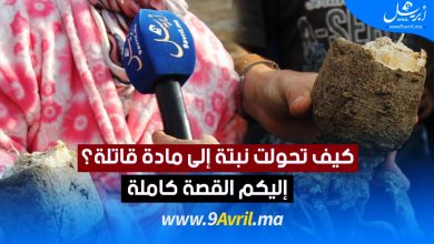 Photo of كيف تحولت نبتة إلى مادة قاتلة؟ إليكم القصة كاملة