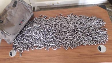 Photo of طنجة..توقيف 21 مسافرا وحجز 537 كبسولة حشيش