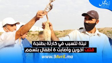 Photo of نبتة تتسبب في فاجعة بطنجة.. قتلت شقيقين وأصابت 6 أطفال بتسمم