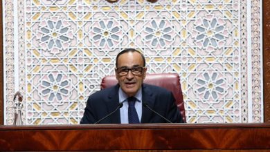 Photo of سليمان العمراني يدعو لتعديل النظام الداخلي لمجلس النواب للسماح بإقالة الرئيس