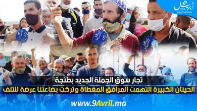 Photo of تجار سوق الجملة الجديد بطنجة: الحيتان الكبيرة التهمت المرافق المغطاة وتركت بضاعتنا عرضة للتلف