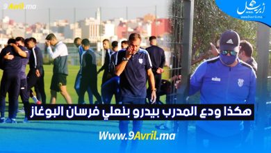Photo of هكذا ودع المدرب بيدرو بنعلي فرسان البوغاز