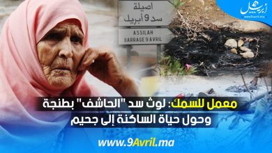 Photo of معمل للسمك لوث سد “الحاشف” بطنجة وحول حياة الساكنة إلى جحيم