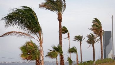 Photo of طقس الخميس..رياح قوية في طنجة
