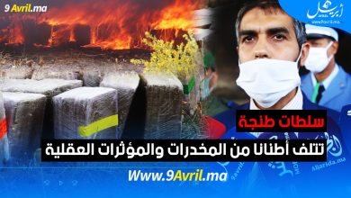 Photo of سلطات طنجة تتلف أطنانا من المخدرات والمؤثرات العقلية