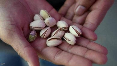 Photo of لكبد لا يمرض.. 7 أطعمة احرص على تناولها