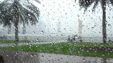 Photo of هذه مقاييس التساقطات المطرية المسجلة بالمملكة خلال الـ24 ساعة الماضية