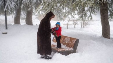 Photo of طقس اليوم: استمرار موجة البرد مع تكون صقيع في المرتفعات
