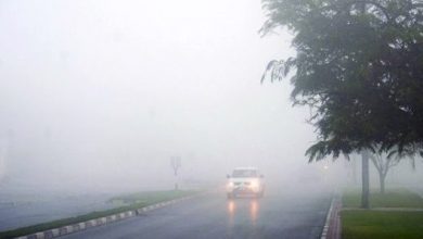 Photo of طقس الجمعة.. تكون كتل ضبابية خلال الصباح بعدد من المناطق