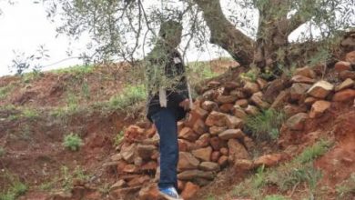 Photo of جثة معلقة بحبل تستنفر سلطات الفنيدق