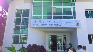 Photo of بسبب “كورونا”.. توقيف الدراسة بمدرسة “الجوامعة” بالفحص أنجرة